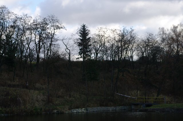img00212.jpg