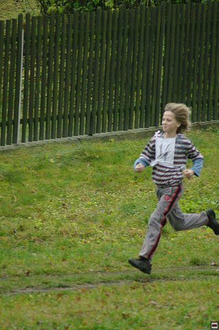 img00127.jpg