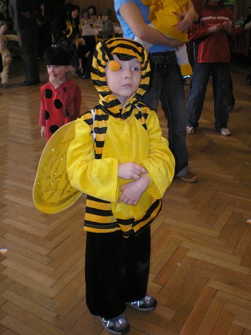 img00143.jpg
