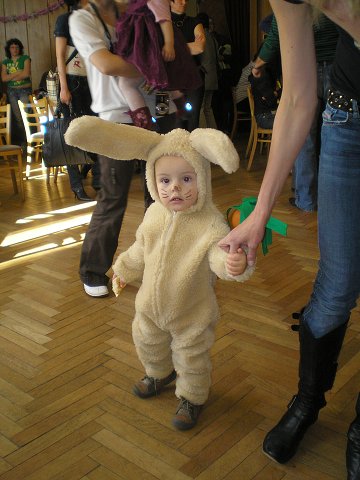 img00145.jpg