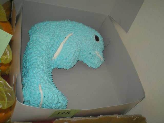 img00153.jpg