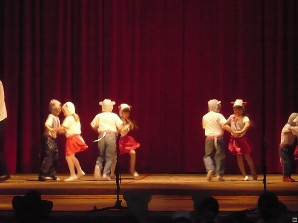img00017.jpg