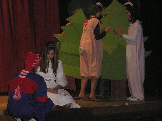 img00036.jpg