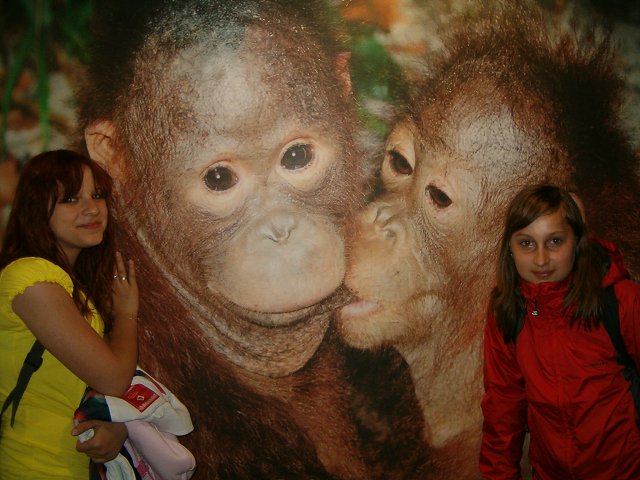 img00004.jpg