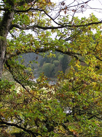 img00025.jpg
