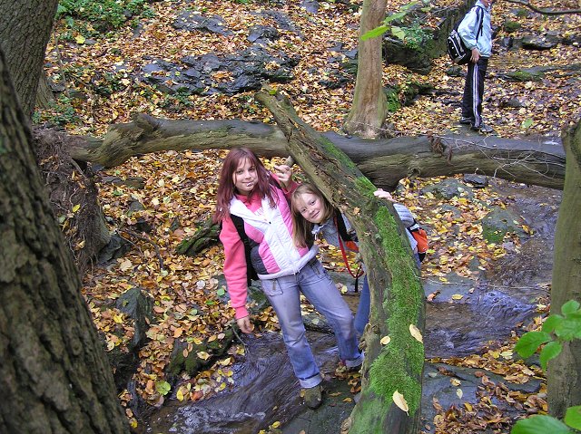 img00028.jpg