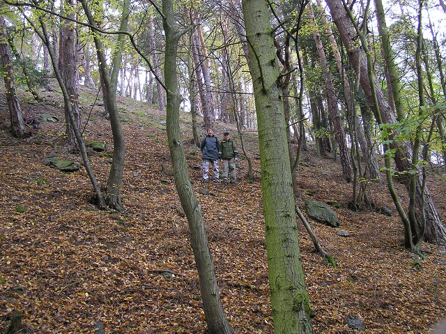 img00032.jpg