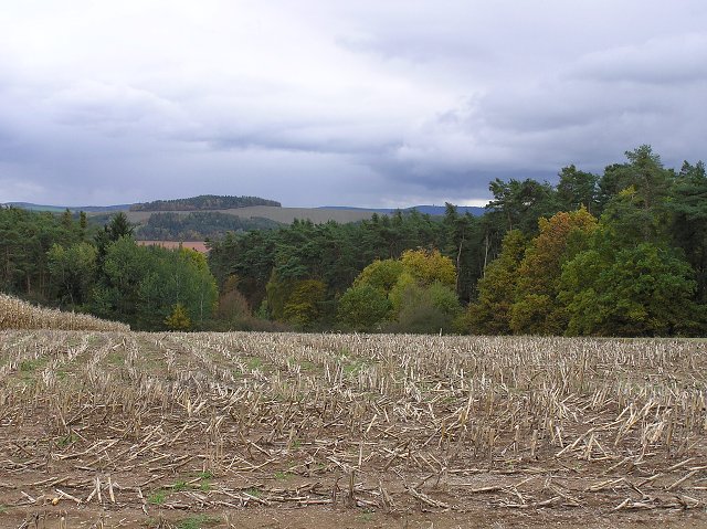 img00039.jpg