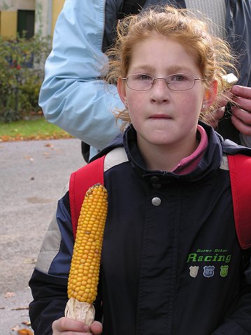 img00041.jpg