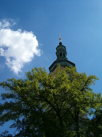 img00017.jpg
