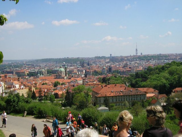 img00019.jpg
