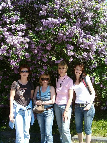 img00024.jpg
