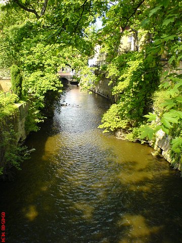 img00041.jpg