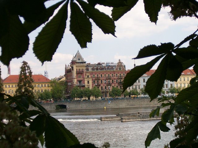 img00044.jpg
